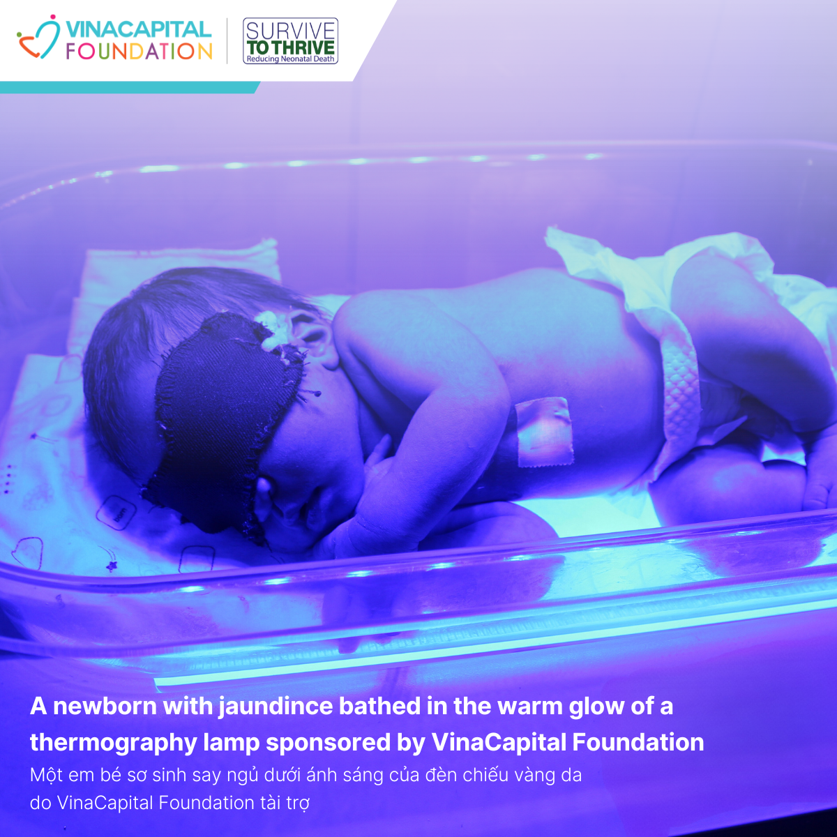 The Survive to Thrive program provides a fresh start for newborns with jaundice in Dien Bien Dong district, Dien Bien province